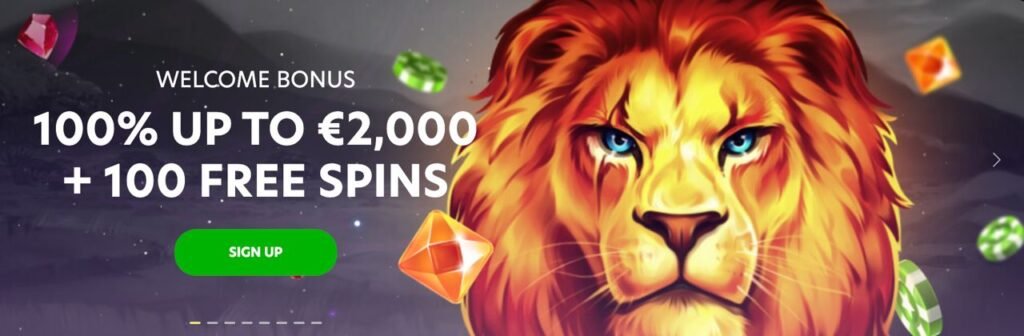 Lion Spin Bonus offer